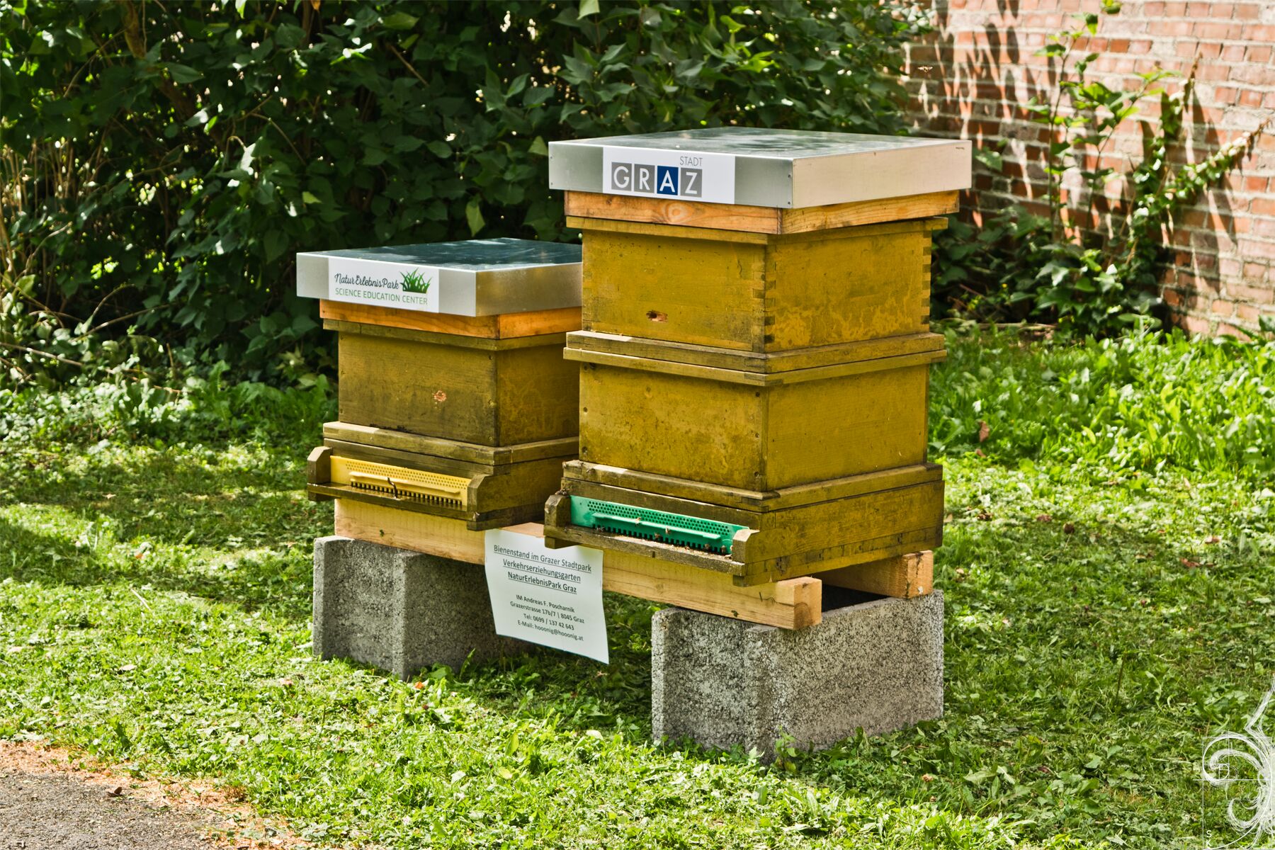 Die Bienenstöcke im Verkehrserziehungsgarten