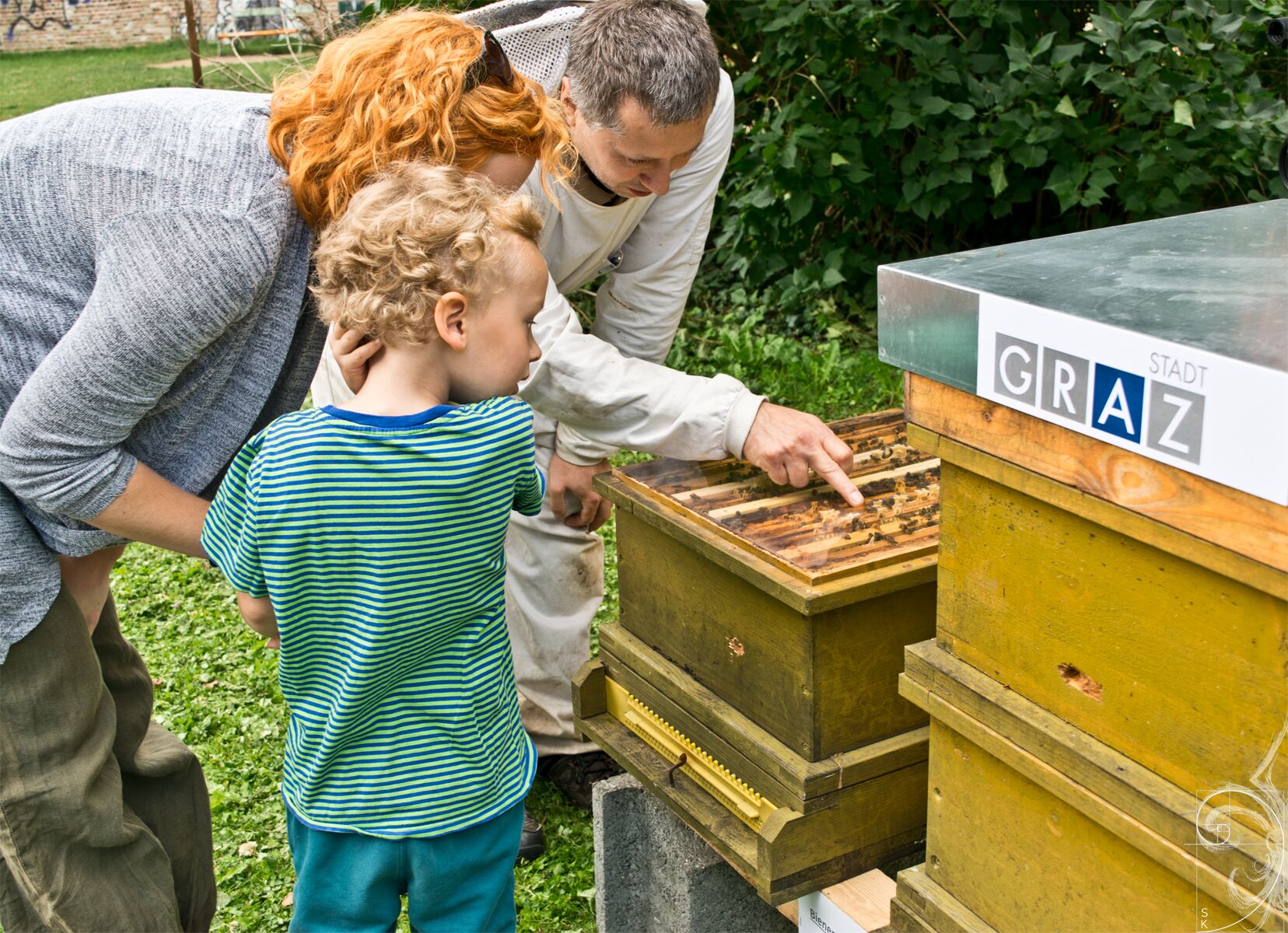 Der Stadtbienenimker beantwortet alle Bienenfragen.