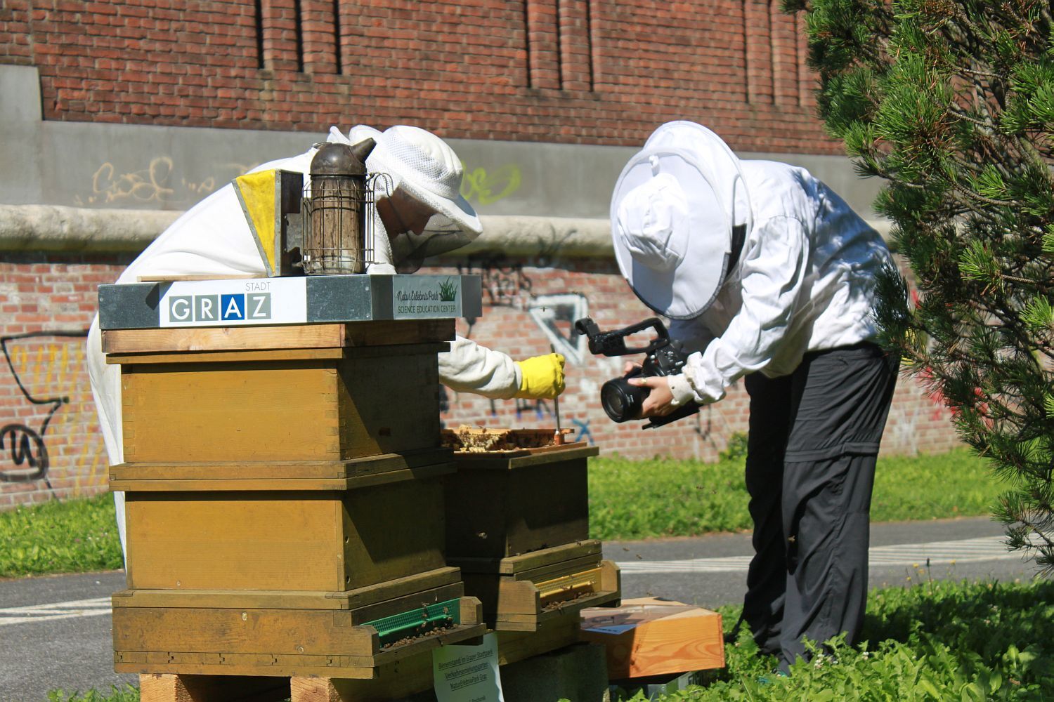 Das Leben der Bienen wird filmisch begleitet.