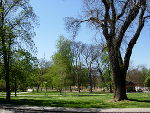 Der Augarten liegt am linken Murufer © Grünraum & Gewässer/BZ Der Augarten liegt am linken Murufer