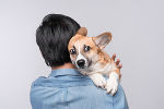 Hunde reagieren besonders sensibel auf die Knallerei.