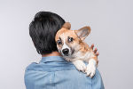 Hunde reagieren besonders sensibel auf die Knallerei. © Fotolia/makistock Hunde reagieren besonders sensibel auf die Knallerei.