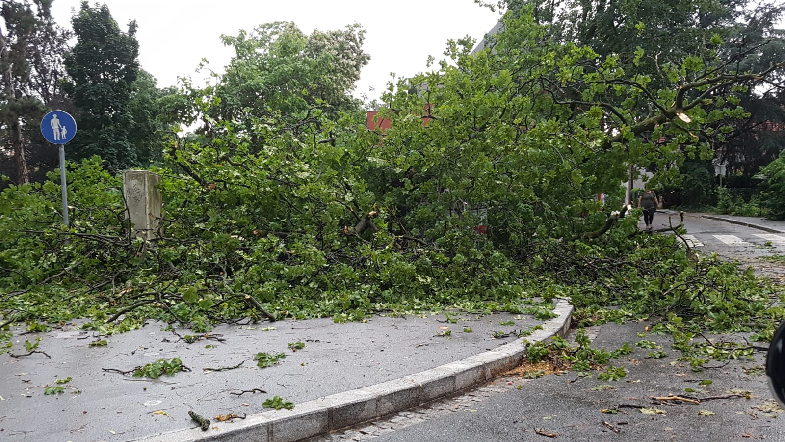 Eindrücke vom Sturm, der Graz am 12. Juni getroffen hat. © Wurzinger Eindrücke vom Sturm, der Graz am 12. Juni getroffen hat. © Wurzinger