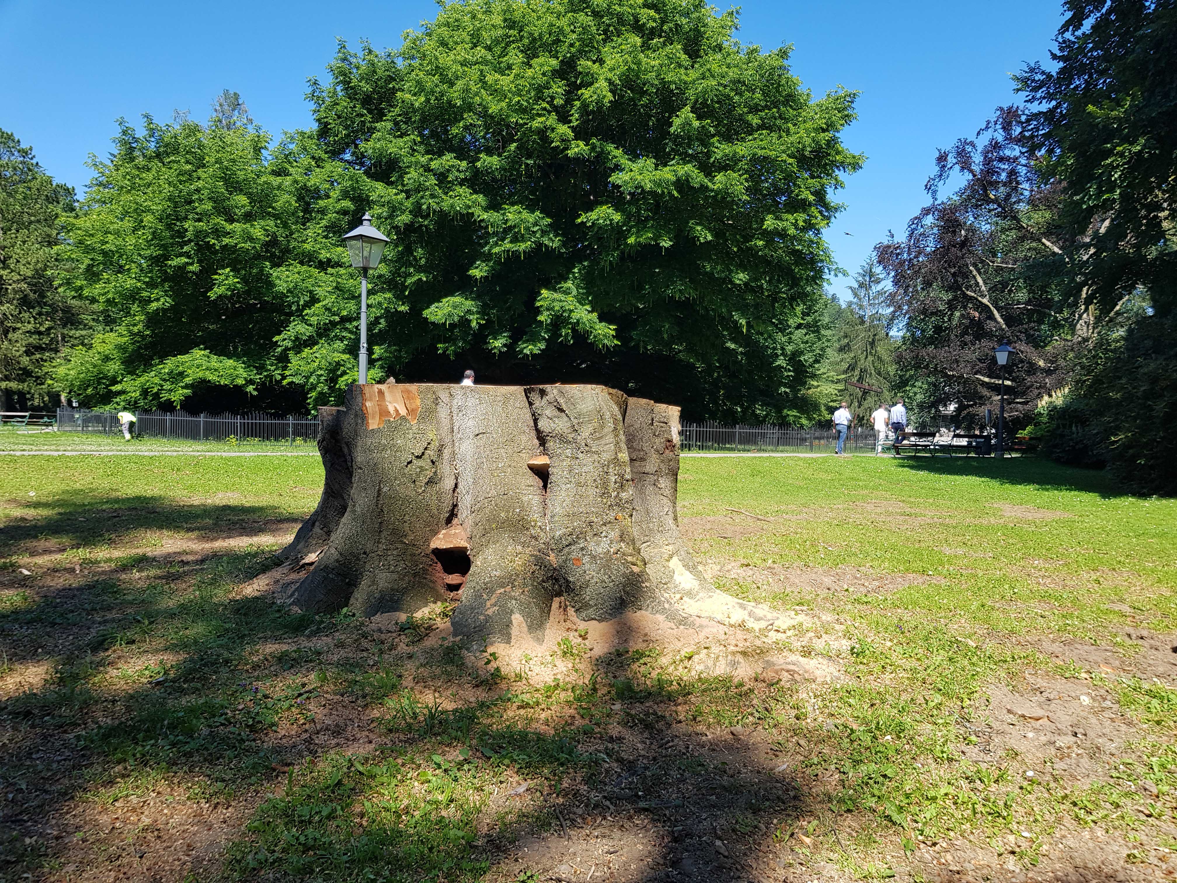 © Stadt Graz/Sommersacher © Stadt Graz/Sommersacher