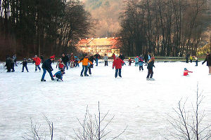 Eiszeit am Mariatroster Teich 