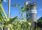 Grünes Labor in der Smart City