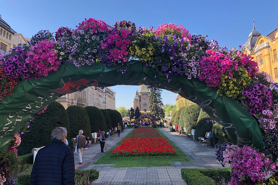 Mit der Sprache der Blumen verzauberte die Stadt Temeswar ihre Besucherinnen und Besucher.