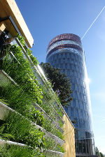 Foto Fassadenbegrünung und Science Tower