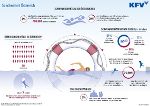 Erschreckend - die Schwimmkompetenz der ÖsterreicherInnen! © KFV Erschreckend - die Schwimmkompetenz der ÖsterreicherInnen! © KFV