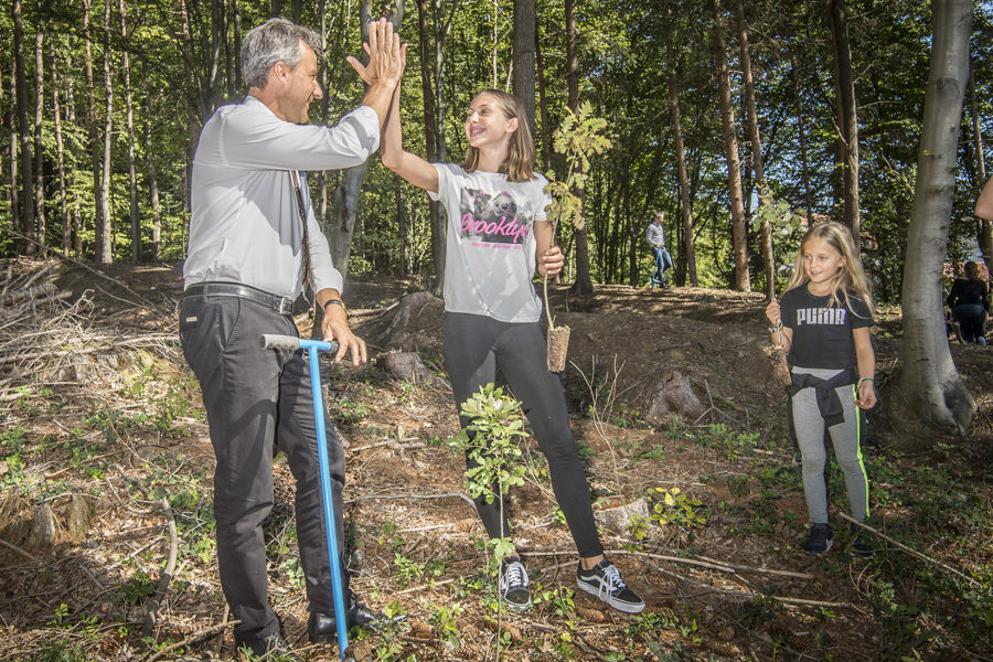 Wie man Graz einen Baum aufstellt? So macht man’s richtig! Für jedes Grazer Neugeborene wird ein Baum gepflanzt – im eigenen Garten oder im städtischen Wald.