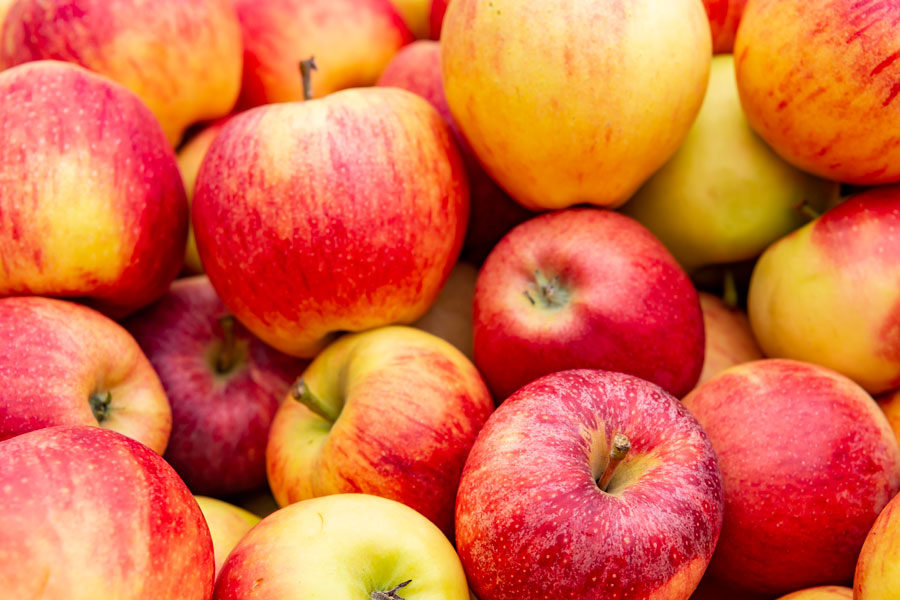 Frisch und knackig: Die besten Äpfel kommen aus der Steiermark.