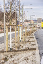 Für einen ökologischen Ausgleich sorgen zahlreiche Bäume und Sickerflächen. © Stadt Graz/Fischer Für einen ökologischen Ausgleich sorgen zahlreiche Bäume und Sickerflächen. © Stadt Graz/Fischer