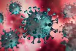 covid-19 © Adobe Stock covid-19 © Adobe Stock