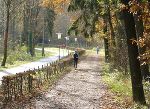Die Halbmarathon-Strecke im Leechwald ist anspruchvoll und ideal für fortgeschrittene Läufer.