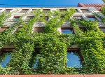 Begrünte Fassaden leisten einen Beitrag zur Anpassung an den Klimawandel. UNIQA Fassade in der Annenstraße.
