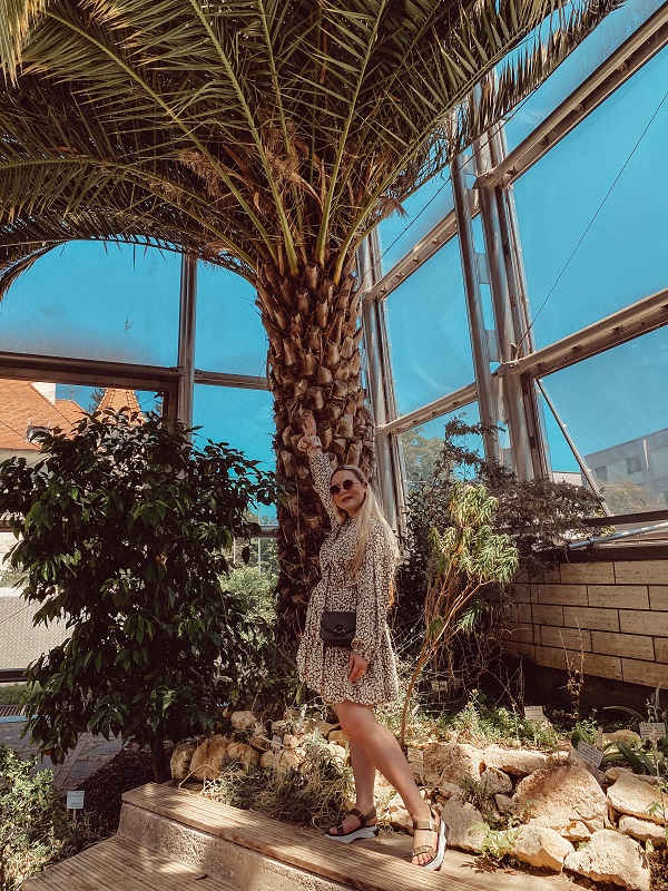 Carina posiert vor einer riesigen Palme. Carina posiert vor einer riesigen Palme.