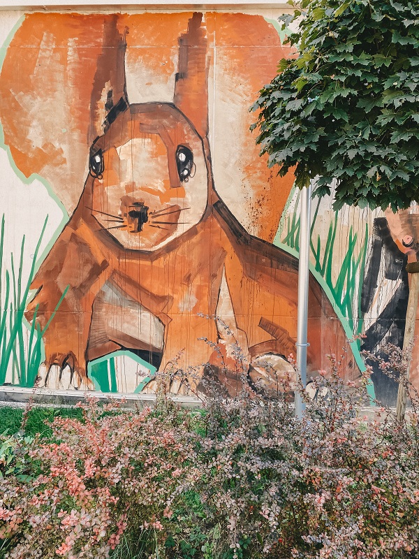 Eichhörnchen, umgeben von Walnüssen und Gräsern Eichhörnchen, umgeben von Walnüssen und Gräsern