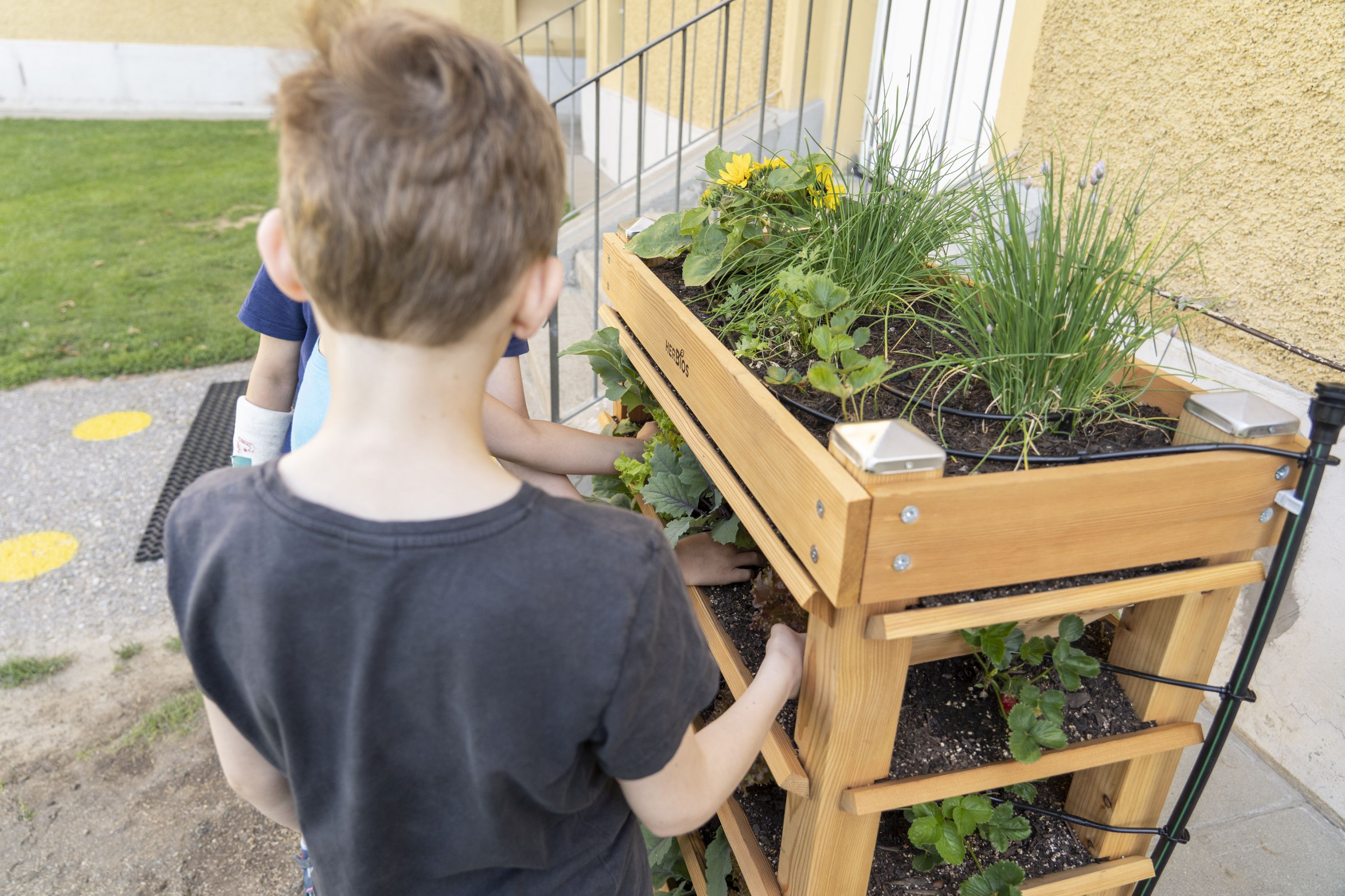 Volksschule Gösting - Kinder beim Kräuterhochbeet