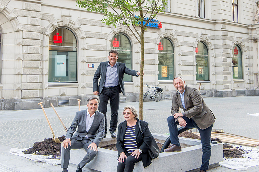 Waren bei der Baumpflanzung dabei: Bürgermeister Sigfried Nagl, Stadtbaudirektor Bertram Werle, Bezirksvorsteherin innere Stadt Ludmilla Haase und Bürgermeister-Stellvertreter Mario Eustacchio (v. l.).