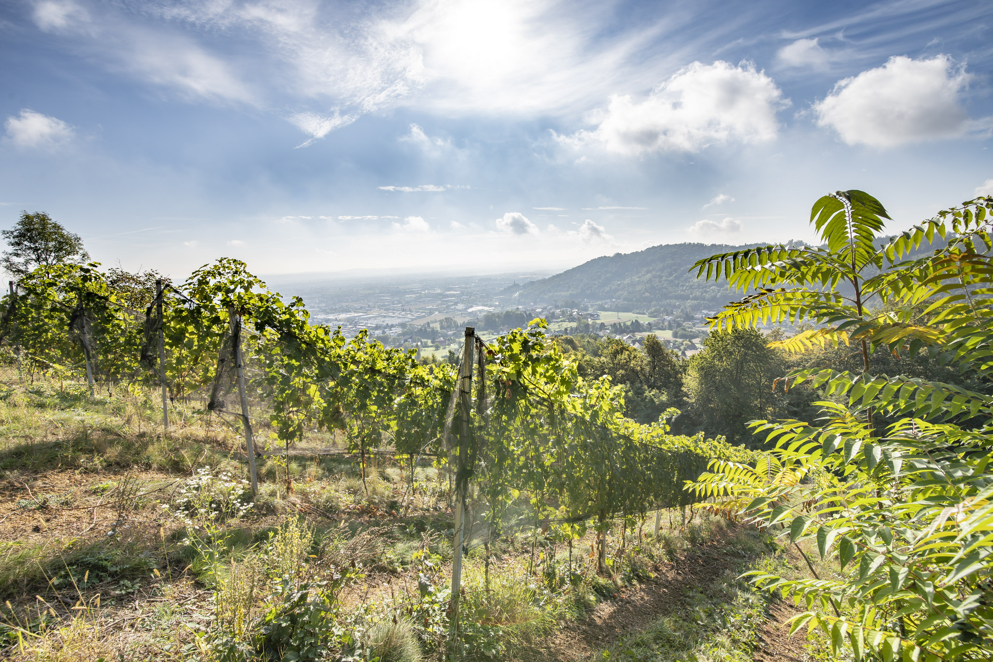 Die schönsten Seiten im Herbst. © Stadt Graz/Fischer Die schönsten Seiten im Herbst.