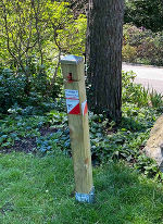 Orientierungslaufparcours Leechwald © SUSO Club Orientierungslaufparcours Leechwald