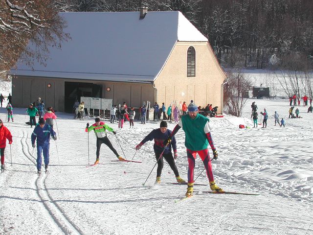 Langläufer auf der Loipe in Thal bei Graz © Foto: Wiso-Sport-Club Langläufer auf der Loipe in Thal bei Graz © Foto: Wiso-Sport-Club