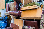 © animaflora / Fotolia © animaflora / Fotolia