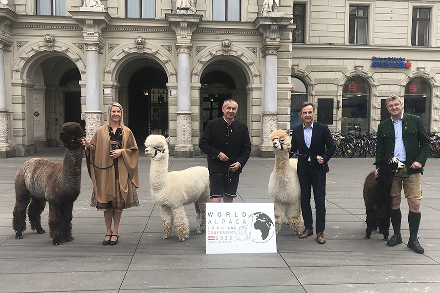 Alpakas-Fans: Barbara Windisch (Schöcklblick Alpakas), Thomas Pötsch (Alpakaland), Bürgermeister Siegfried Nagl, Franz Tonner (Bauernbunddirektor) v. l.