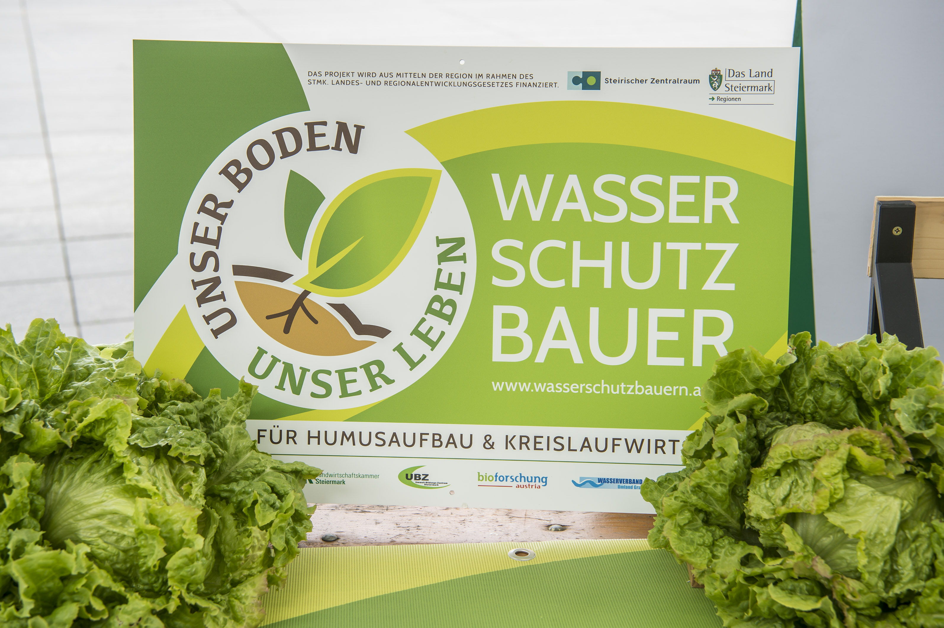 Der beste Salat - wohl nicht nur für Bürgermeister Siegfried Nagl. Der Grazer Krauthäuptel hat wieder Saison! © Stadt Graz/Fischer Der beste Salat - wohl nicht nur für Bürgermeister Siegfried Nagl. Der Grazer Krauthäuptel hat wieder Saison!