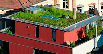 Mit Hilfe von Dach- und Fassadenbegrünungen kann das Mikroklima in Graz positiv beeinflusst werden.
