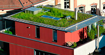Mit Hilfe von Dach- und Fassadenbegrünungen kann das Mikroklima in Graz positiv beeinflusst werden. © Dominik Piringer Mit Hilfe von Dach- und Fassadenbegrünungen kann das Mikroklima in Graz positiv beeinflusst werden.