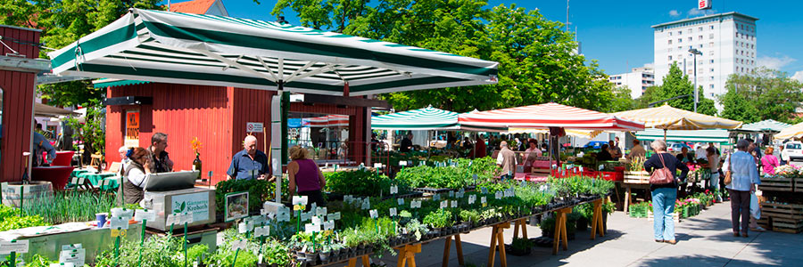 Bauernmarkt am Lendplatz @ Harry Schiffer