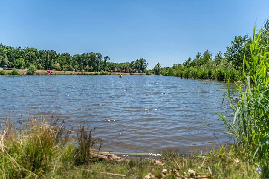 Das Naherholungsgebiet Auwiesen bietet: eine Liegewiese, einen Grillbereich, Wander- und Spaziermöglichkeiten © Stadt Graz/Hinterleitner Das Naherholungsgebiet Auwiesen bietet: eine Liegewiese, einen Grillbereich, Wander- und Spaziermöglichkeiten