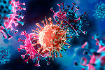 Corona © Adobe Stock / Peter Schreiber Media Corona