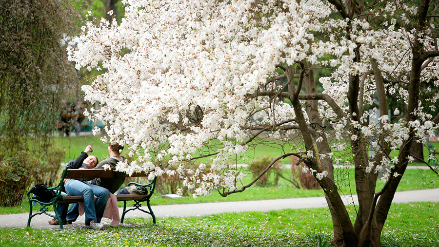 Relaxen im Stadtpark Graz