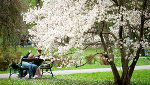 Relaxen im Stadtpark