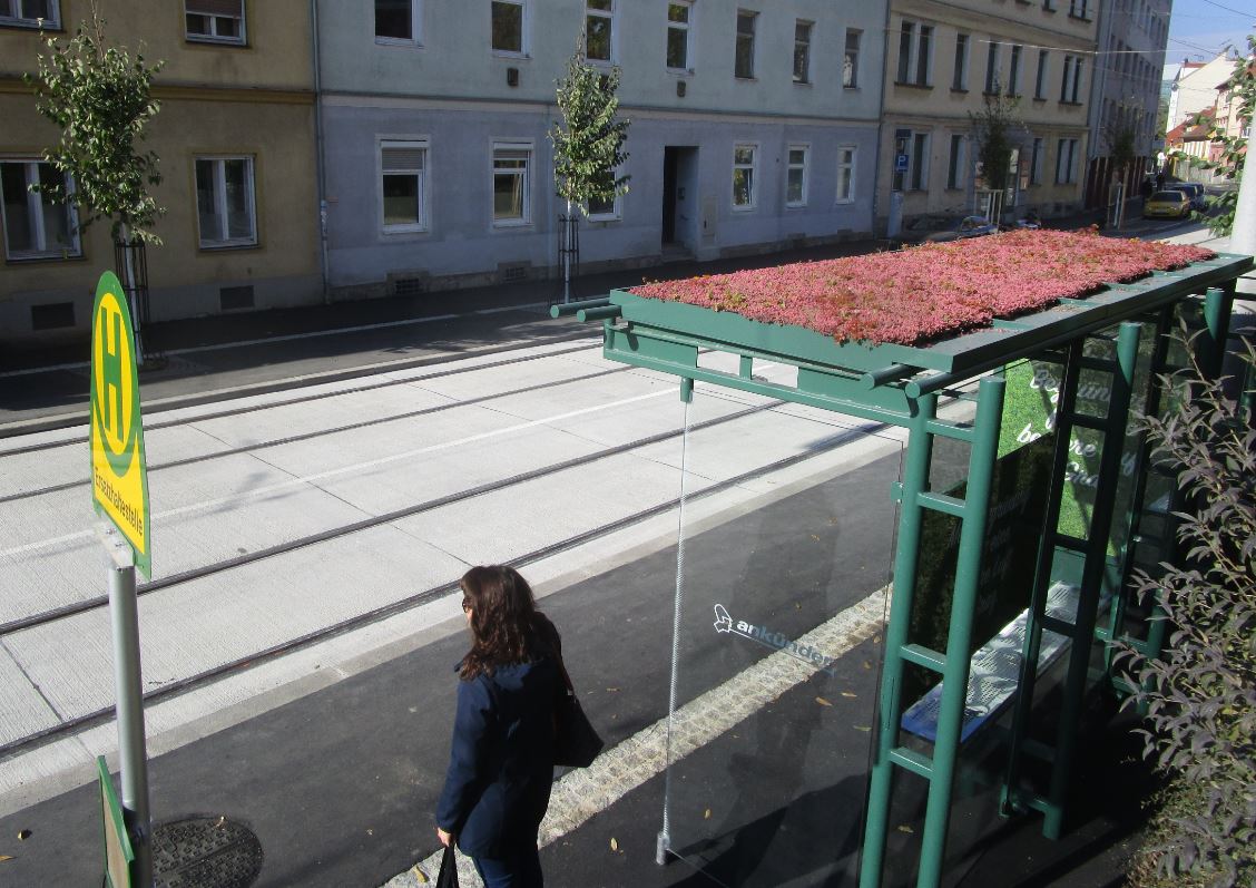 Münzgrabengürtel, Wartehaus mit Fetter Henne am Dach © Stadt Graz/Wehap Münzgrabengürtel, Wartehaus mit Fetter Henne am Dach