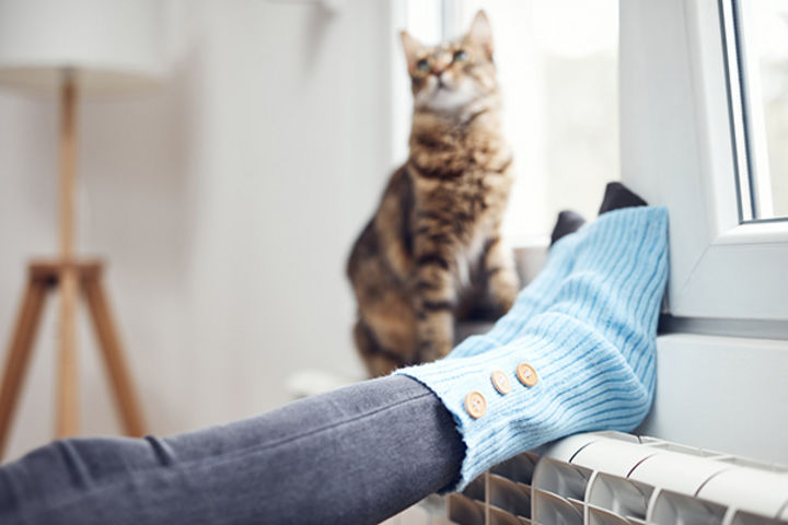 Symbolbild © Adobe Stock/astrosystem Symbolbild