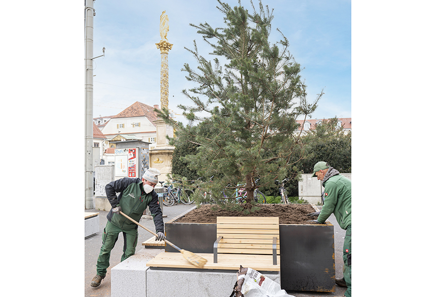 Gutes Wachstum am Griesplatz.