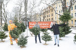 Die Grazer Christbaummärkte sind seit 10. Dezember geöffnet.