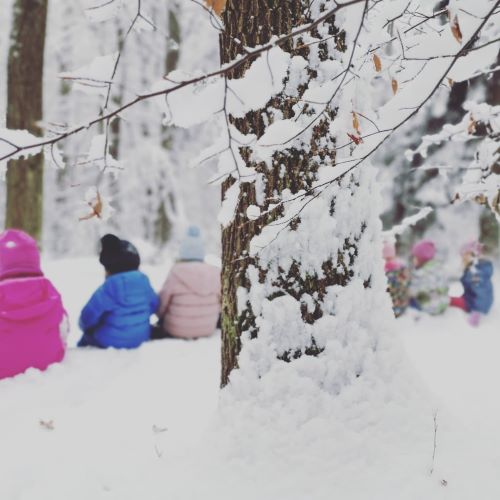 winterwald © ABI winterwald
