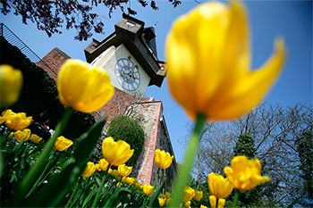 Rund um den Grazer Uhrturm blüht es im Frühling. © Harry Schiffer Rund um den Grazer Uhrturm blüht es im Frühling.