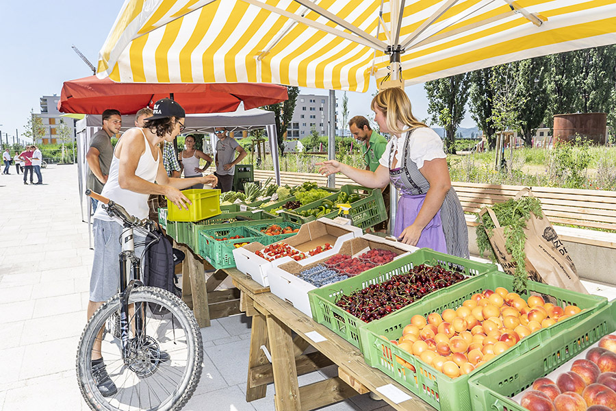 Der neue Reininghauspark _ grünes Herz im wachsenden Stadtteil.