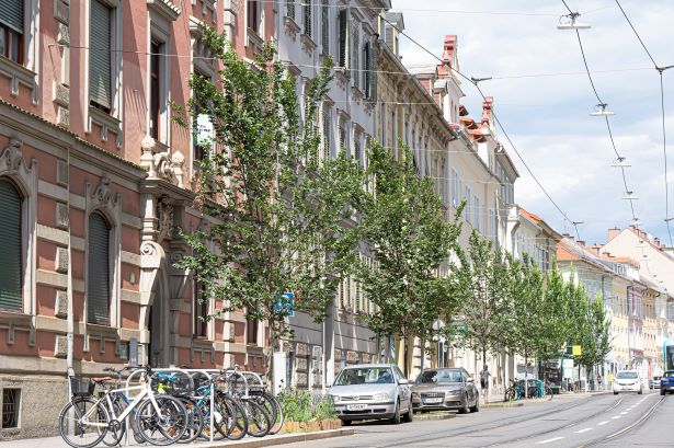 Resistaulme © Stadt Graz/Foto Fischer Resistaulme