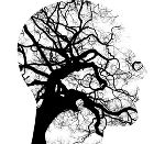 mental health