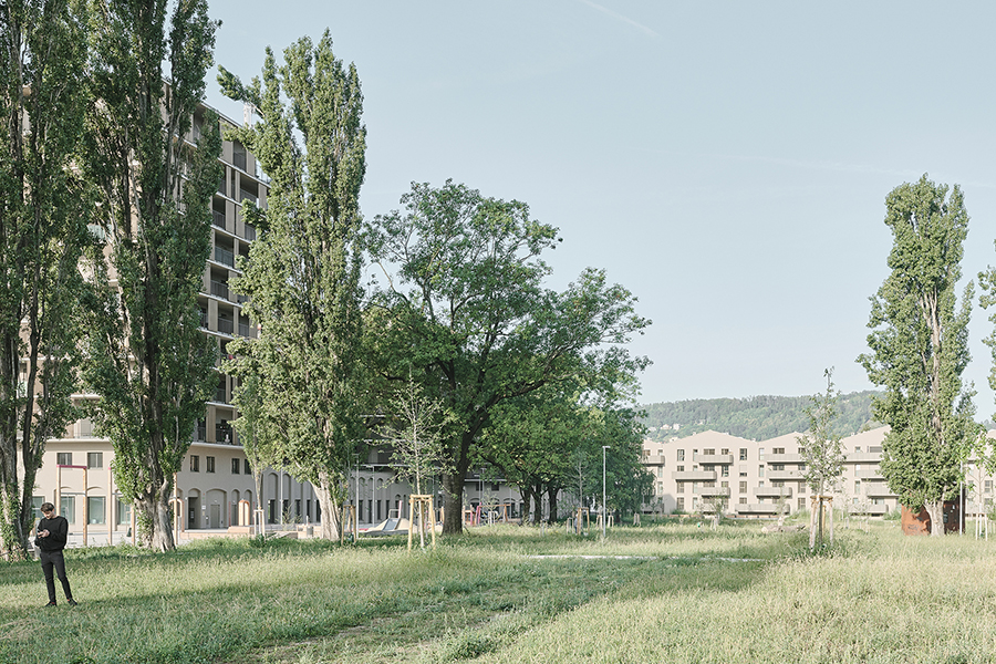 ... und der Reininghauspark. © David Schreyer ... und der Reininghauspark.