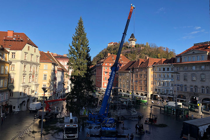 Der Christbaum