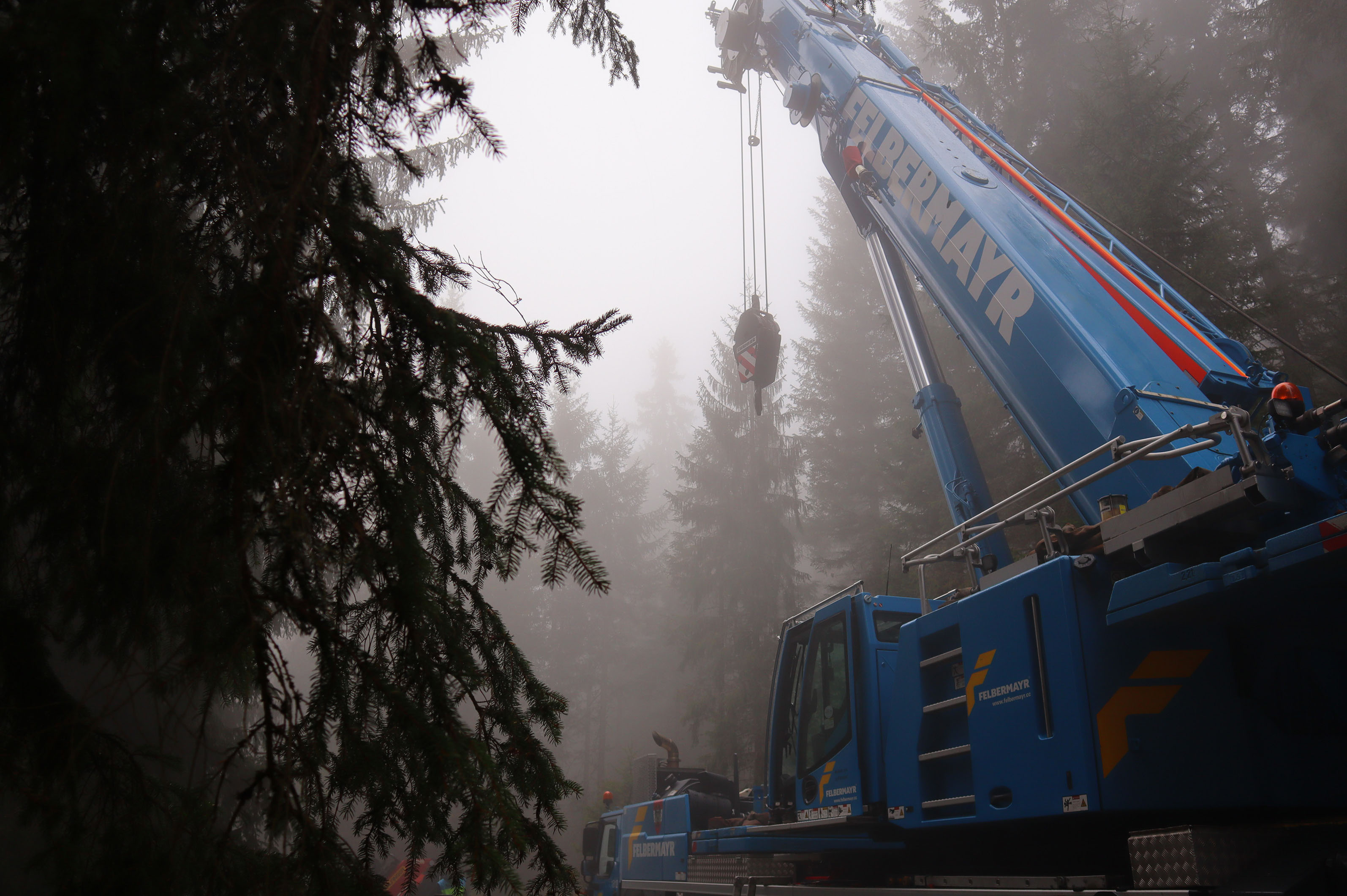 In Hirschegg wurde der Baum gefällt und verladen.