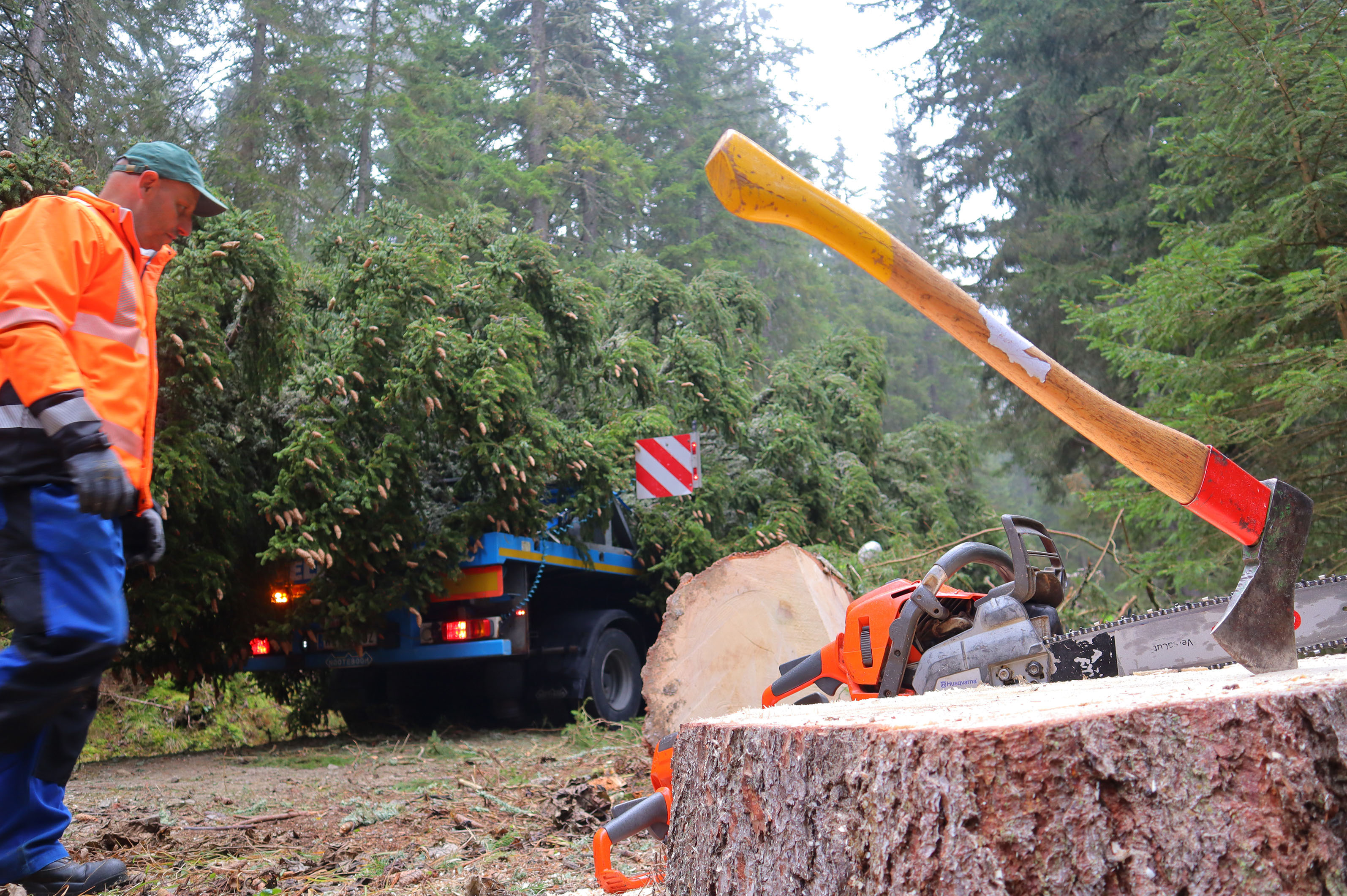 In Hirschegg wurde der Baum gefällt und verladen.