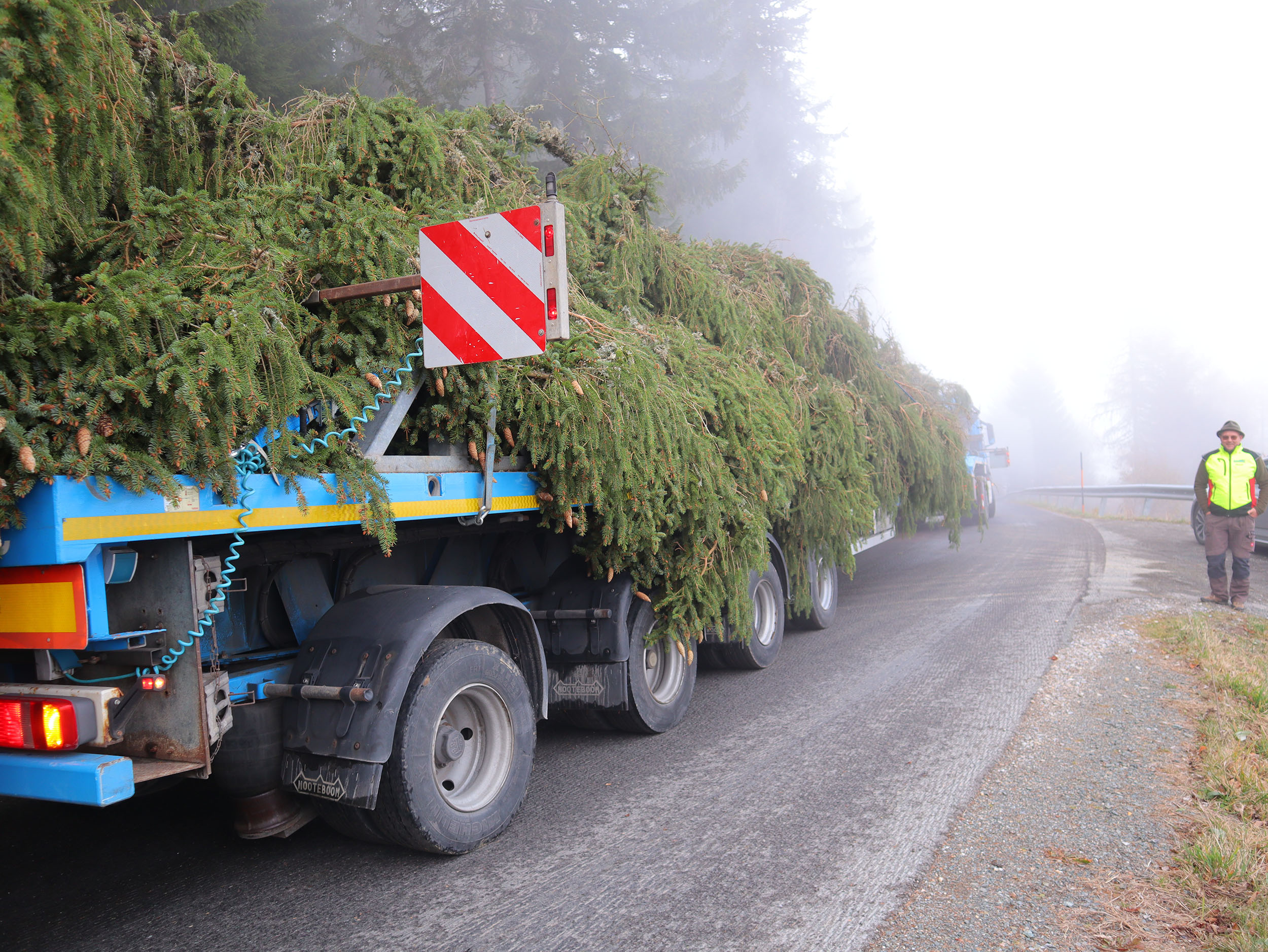 In Hirschegg wurde der Baum gefällt und verladen.